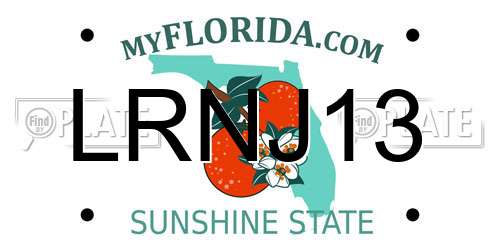 LRNJ13 Florida License Plate