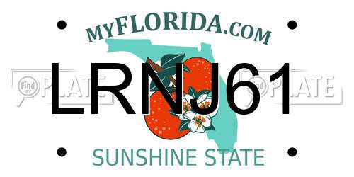 LRNJ61 Florida License Plate