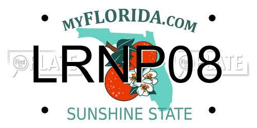 LRNP08 Florida License Plate