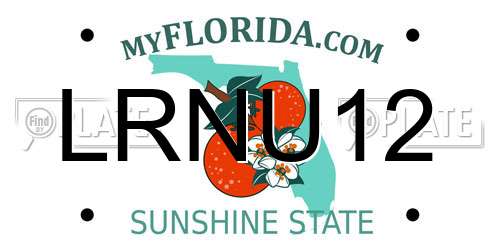 LRNU12 Florida License Plate