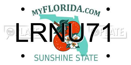 LRNU71 Florida License Plate