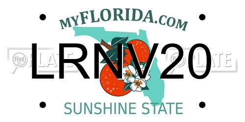LRNV20 Florida License Plate