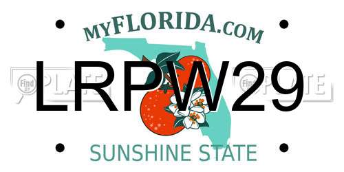 LRPW29 Florida License Plate