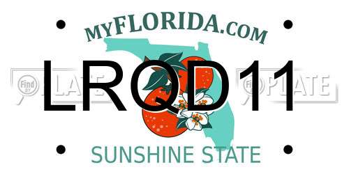 LRQD11 Florida License Plate