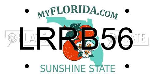 LRRB56 Florida License Plate