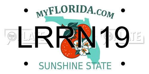 LRRN19 Florida License Plate