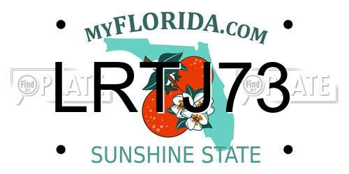 LRTJ73 Florida License Plate