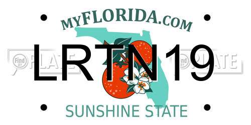 LRTN19 Florida License Plate