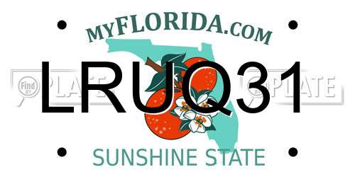 LRUQ31 Florida License Plate