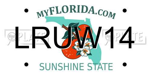 LRUW14 Florida License Plate