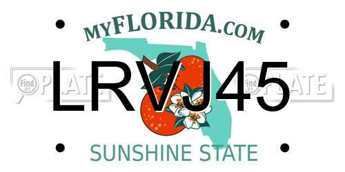LRVJ45 Florida License Plate