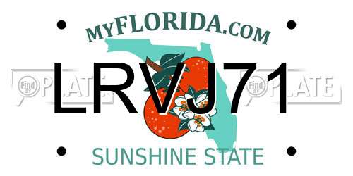 LRVJ71 Florida License Plate