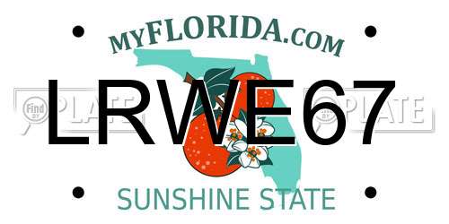 LRWE67 Florida License Plate