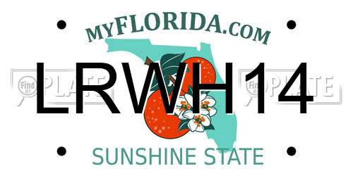 LRWH14 Florida License Plate