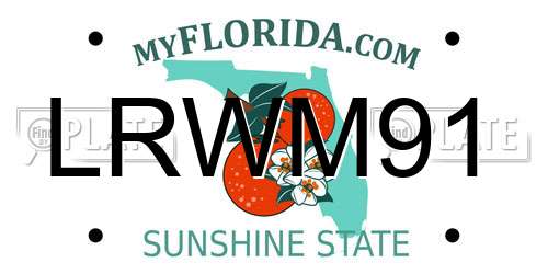 LRWM91 Florida License Plate
