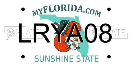 LRYA08 Florida License Plate