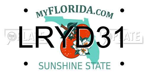 LRYD31 Florida License Plate