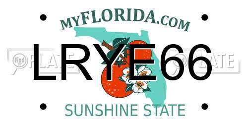 LRYE66 Florida License Plate