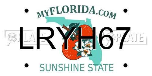 LRYH67 Florida License Plate