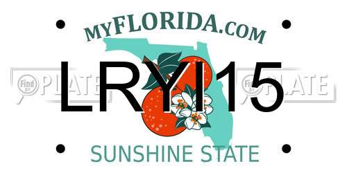 LRYI15 Florida License Plate