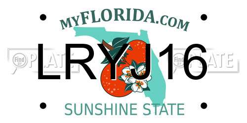 LRYJ16 Florida License Plate