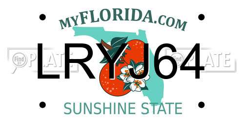 LRYJ64 Florida License Plate