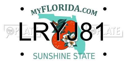 LRYJ81 Florida License Plate