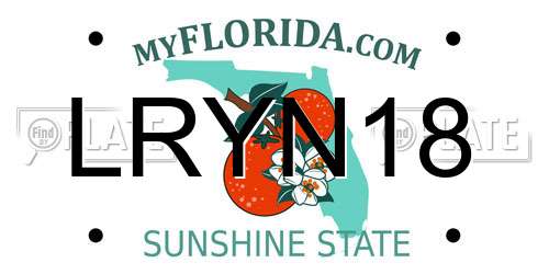 LRYN18 Florida License Plate