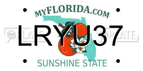 LRYU37 Florida License Plate