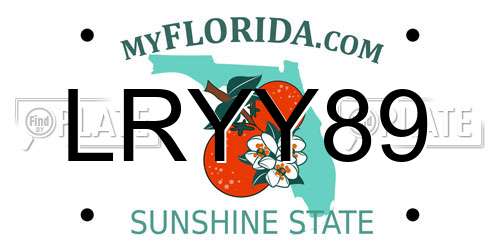 LRYY89 Florida License Plate