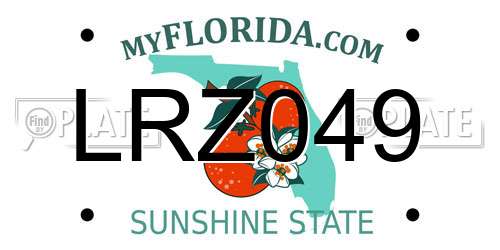 LRZ049 Florida License Plate