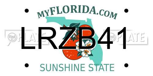 LRZB41 Florida License Plate