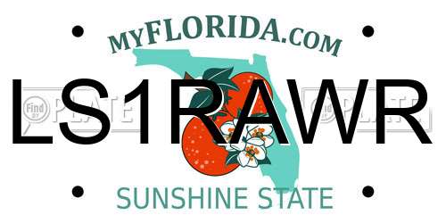LS1RAWR Florida License Plate