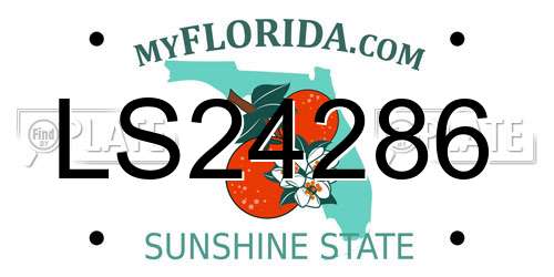 LS24286 Florida License Plate