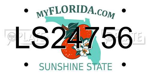 LS24756 Florida License Plate