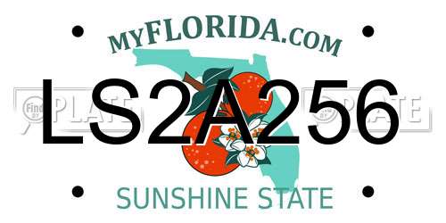 LS2A256 Florida License Plate