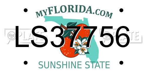LS37756 Florida License Plate