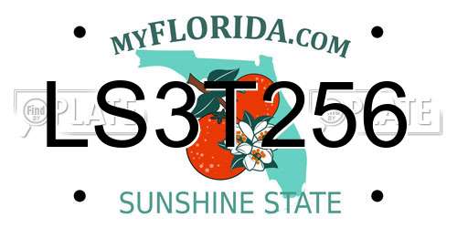 LS3T256 Florida License Plate