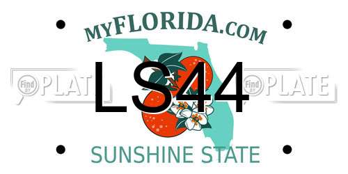 LS44 Florida License Plate