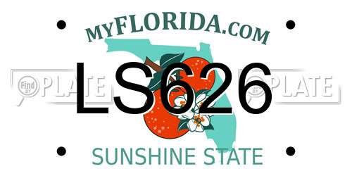 LS626 Florida License Plate
