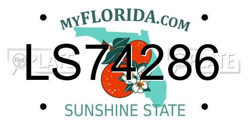 LS74286 Florida License Plate