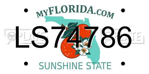 LS74786 Florida License Plate