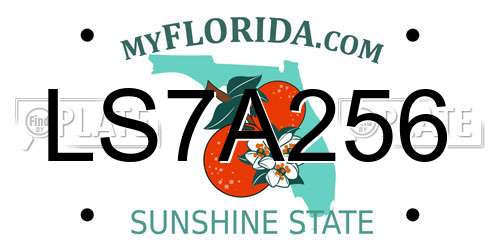 LS7A256 Florida License Plate