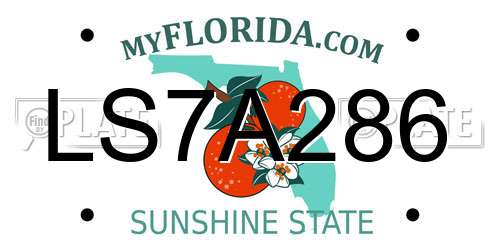LS7A286 Florida License Plate