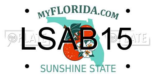 LSAB15 Florida License Plate