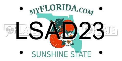 LSAD23 Florida License Plate