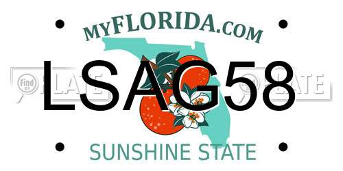 LSAG58 Florida License Plate