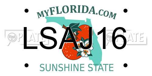 LSAJ16 Florida License Plate