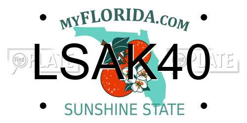 LSAK40 Florida License Plate