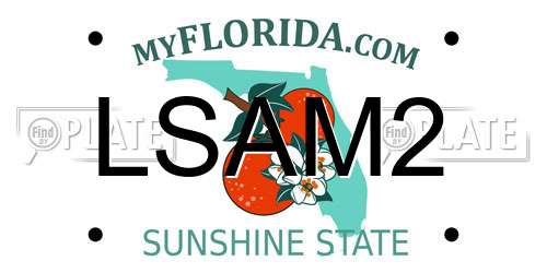 LSAM2 Florida License Plate